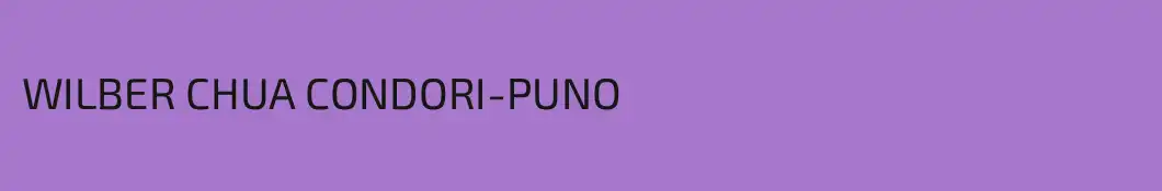 WILBER CHUA CONDORI-PUNO